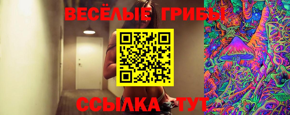 Галлюциногенные грибы мицелий Еманжелинск