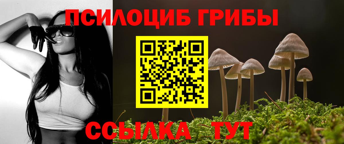 Псилоцибиновые грибы Psilocybine cubensis  Псилоцибиновые грибы GOLDEN TEACHER  закладки  Вход с VPN  Еманжелинск 